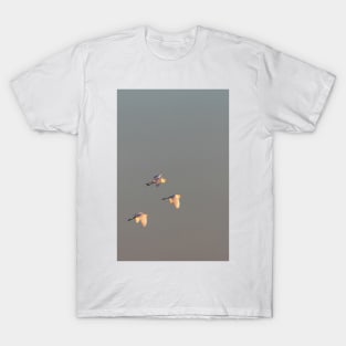 Egret Sunrise T-Shirt